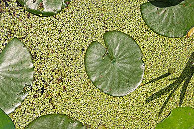 《极限竞速：地平线5》2号大补丁发布 提升游戏稳定性